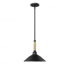  3318-M NB - Journey 1 Light Pendant in Natural Black with Natural Black Shade